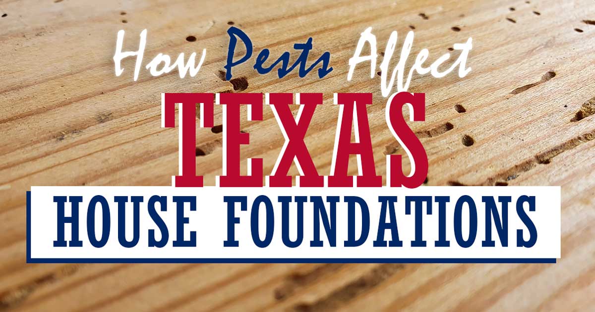 pests damage home foundations Austin, TX