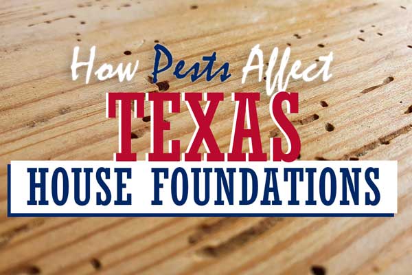 foundation repair and home value