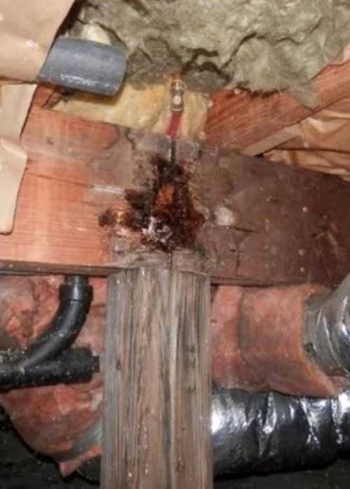 rotten wood beam